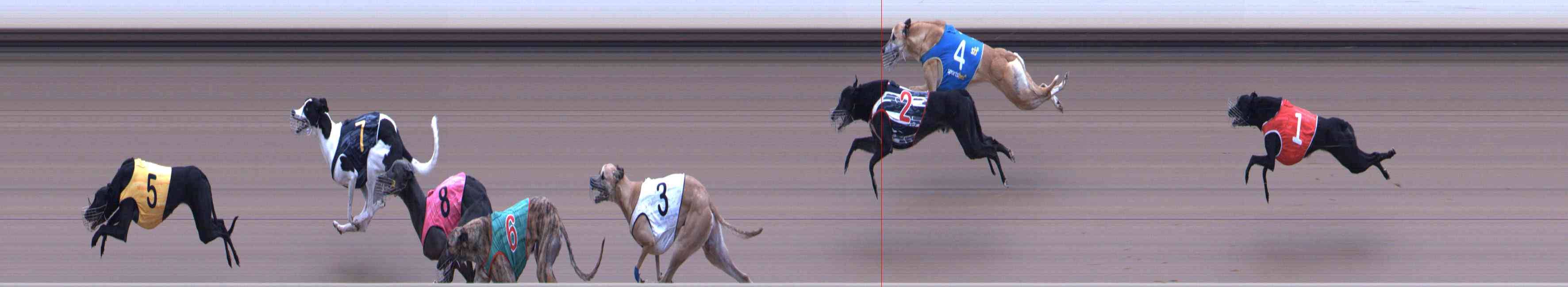 Race result finish photo